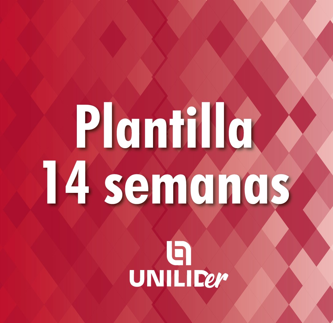 Plantilla