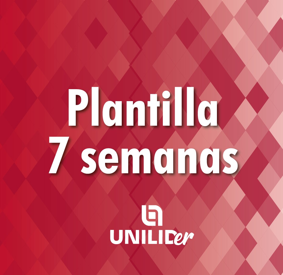 Plantilla